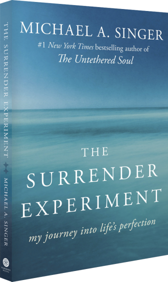 My Journey into Life's Perfection The Surrender Experiment 